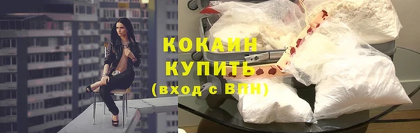 шишки Богданович